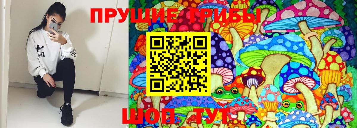 Псилоцибиновые грибы мухоморы  Вход с VPN  Корсаков 