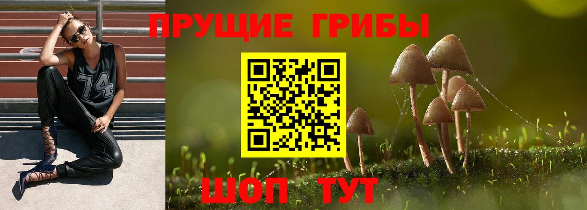 Галлюциногенные грибы мухоморы Корсаков